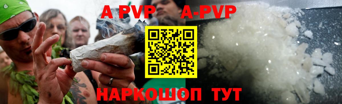A-PVP СК КРИС Сокол