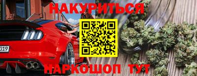 прущие грибы Можайск